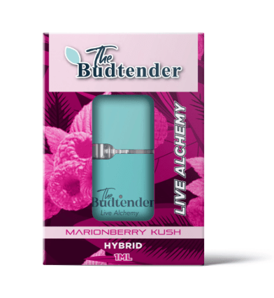 Budtender Marionberry Kush 1ml Vape | Budtender Plumes Budtender Marionberry Kush 1ml Vape | Budtender Plumes